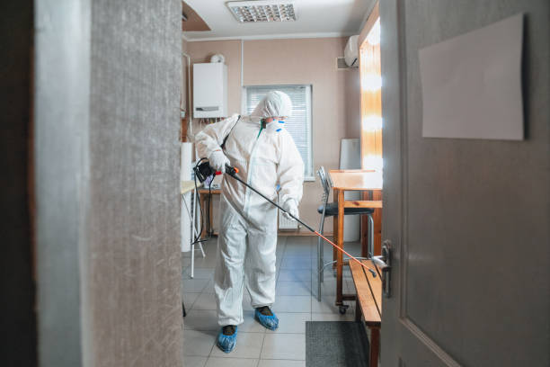 Best Black Mold Removal  in USA